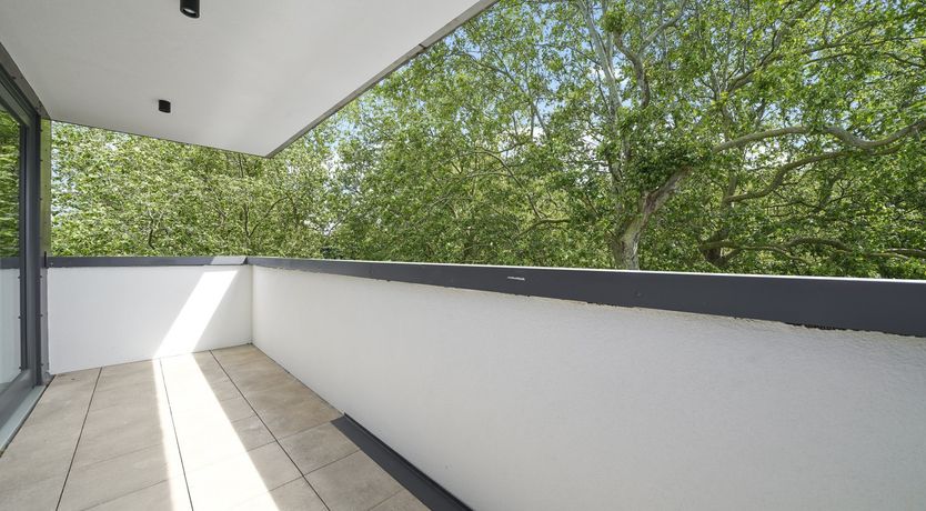 Photo of Arborea In White