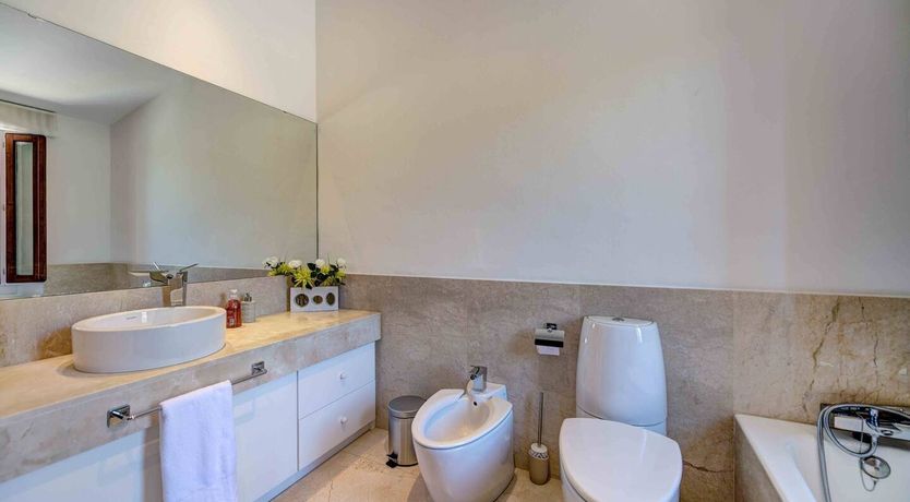 Photo of Flower Of The Mountains