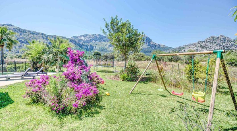 Photo of Flower Of The Mountains