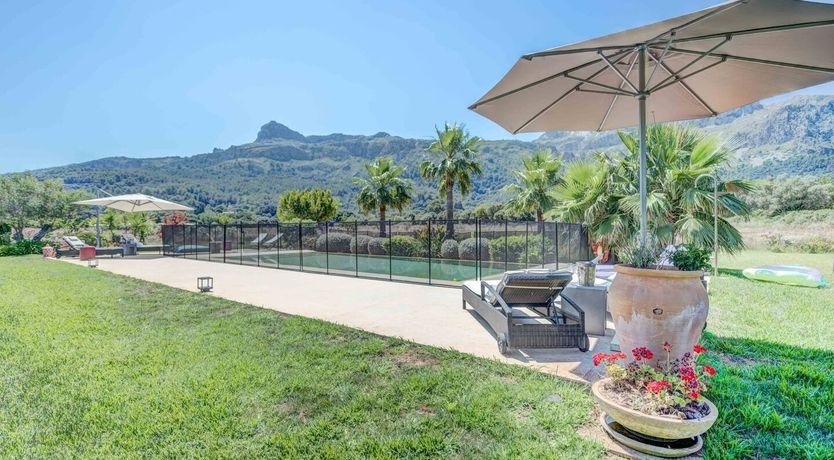 Photo of Flower Of The Mountains