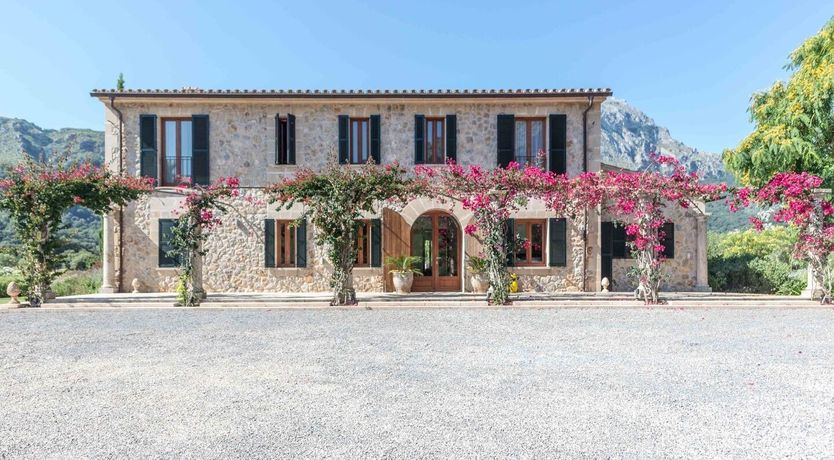 Photo of Flower Of The Mountains