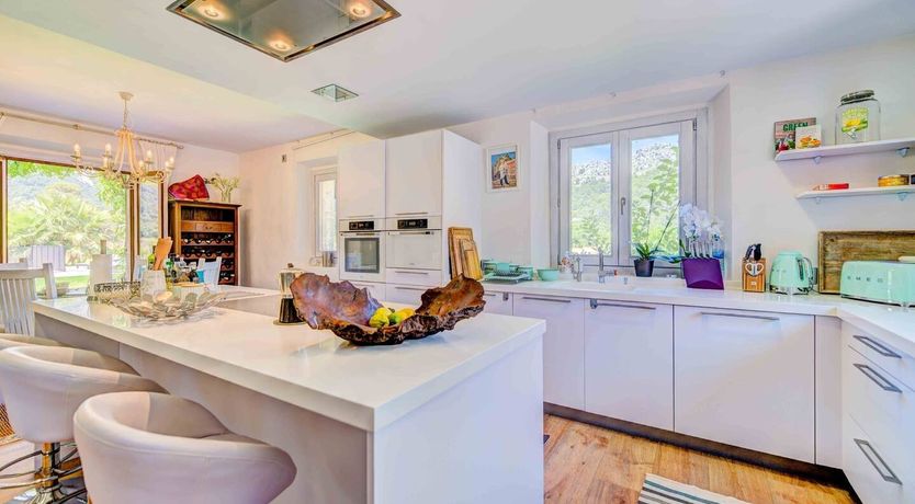 Photo of Flower Of The Mountains