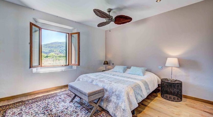 Photo of Flower Of The Mountains