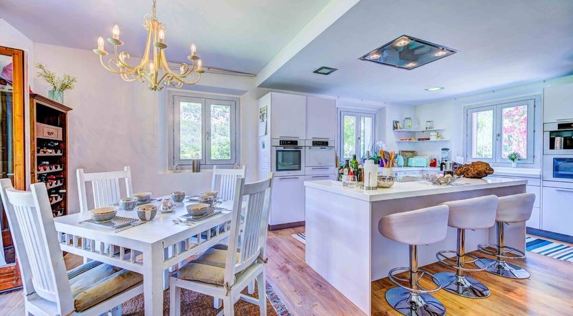 Photo of Flower Of The Mountains