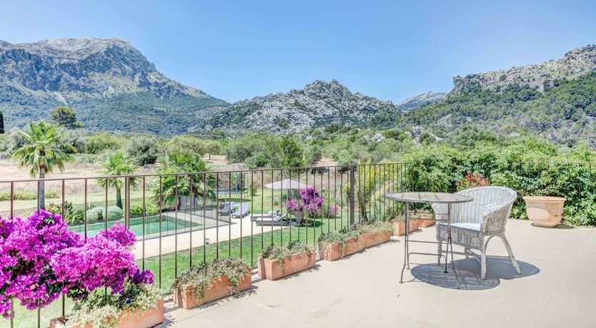 Photo of Flower Of The Mountains