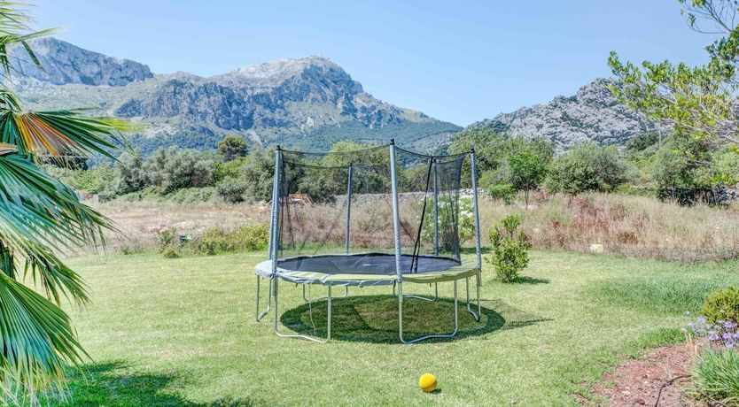 Photo of Flower Of The Mountains