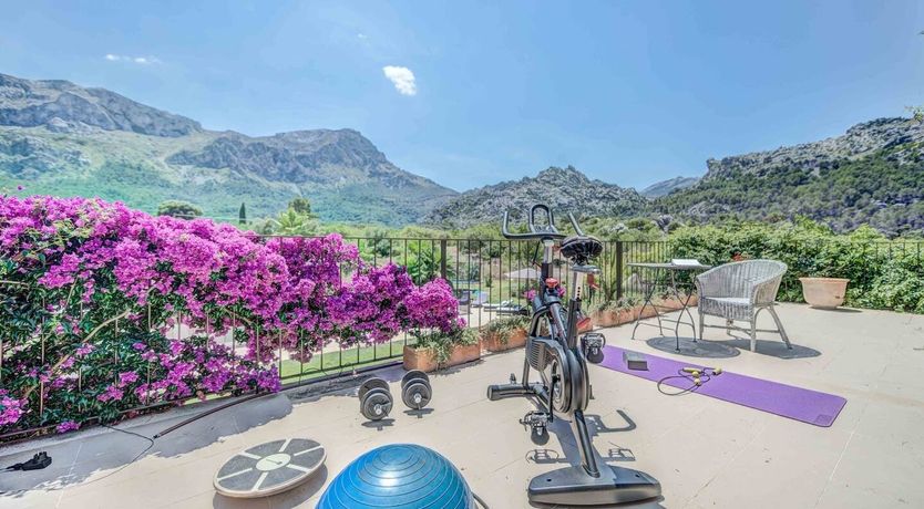 Photo of Flower Of The Mountains