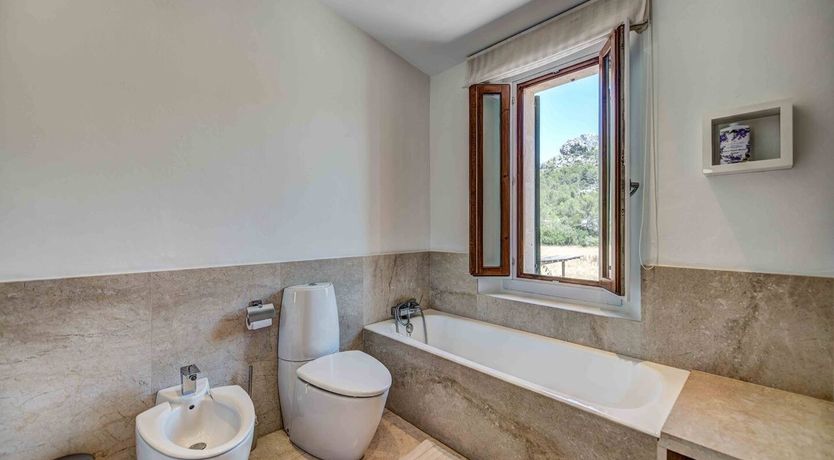 Photo of Flower Of The Mountains