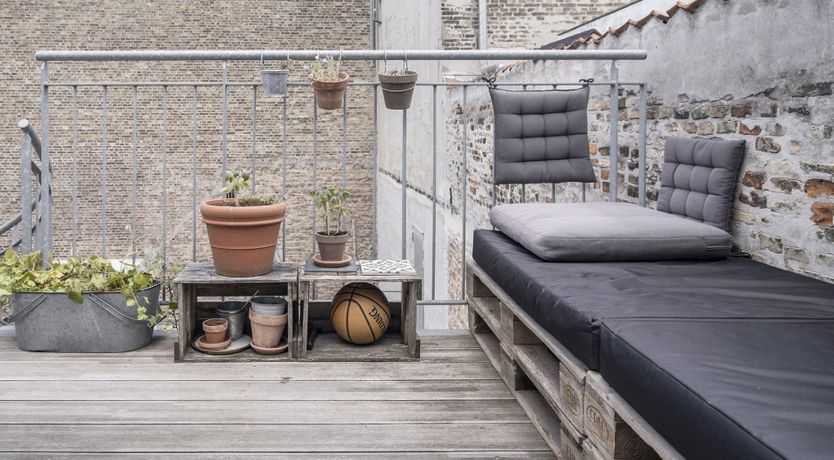 Photo of Beech & Ash