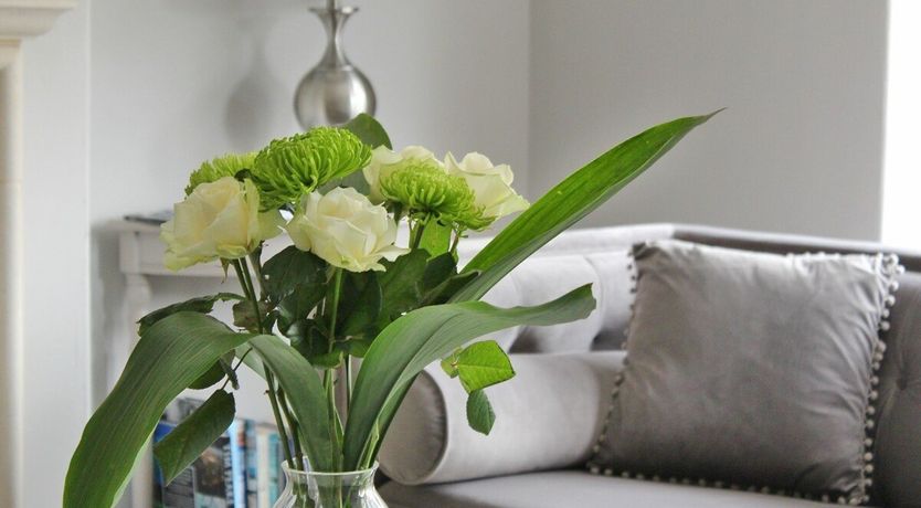 Photo of White Peony