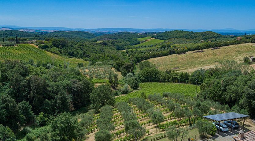 Photo of Rolling In Olives