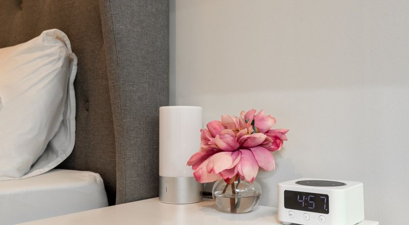 Photo of Rosehip Palms