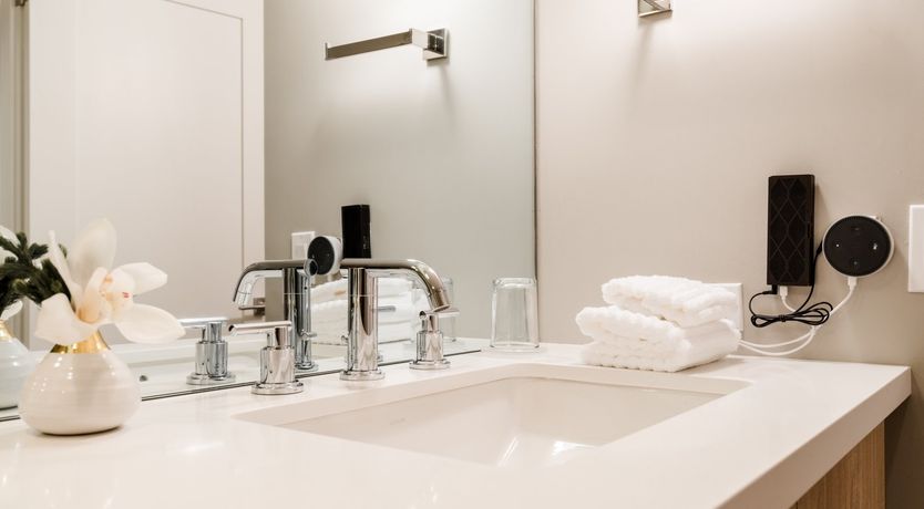 Photo of Rosehip Palms