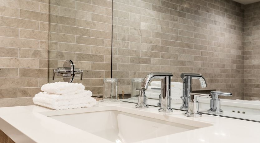 Photo of Rosehip Palms