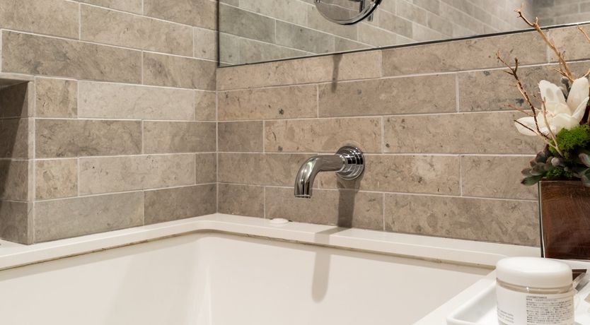 Photo of Rosehip Palms