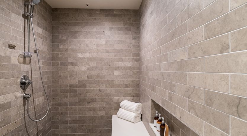 Photo of Rosehip Palms