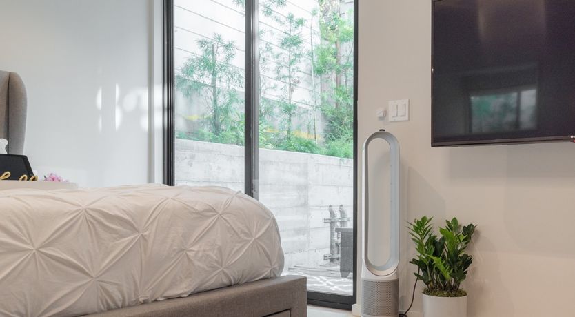 Photo of Rosehip Palms