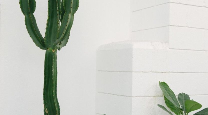 Photo of Desert View