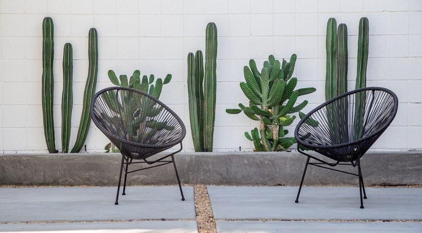 Photo of Desert View