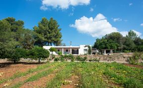 Photo of Hamaca & Limones