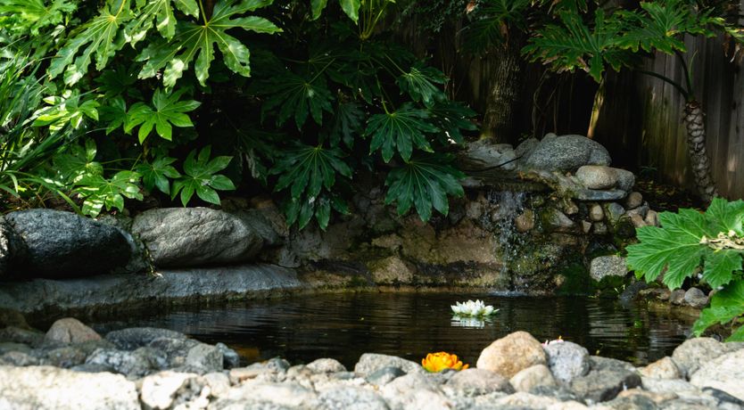 Photo of Speaking Spanish