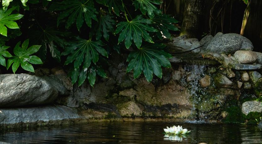 Photo of Speaking Spanish