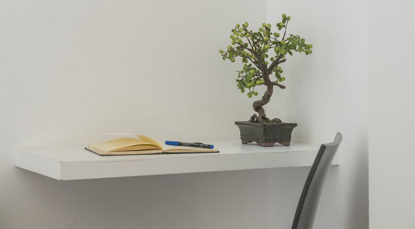 Photo of Scandi Dreams