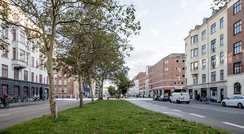 Photo of Bright Eyed