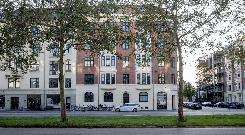 Photo of Bright Eyed