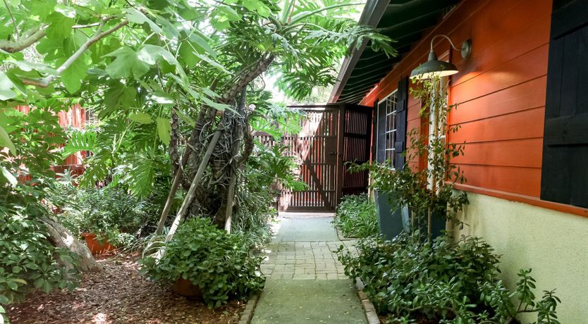 Photo of Newton's Cradle