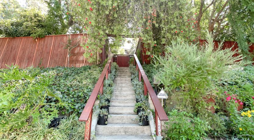 Photo of Newton's Cradle