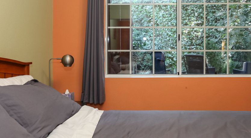 Photo of Newton's Cradle