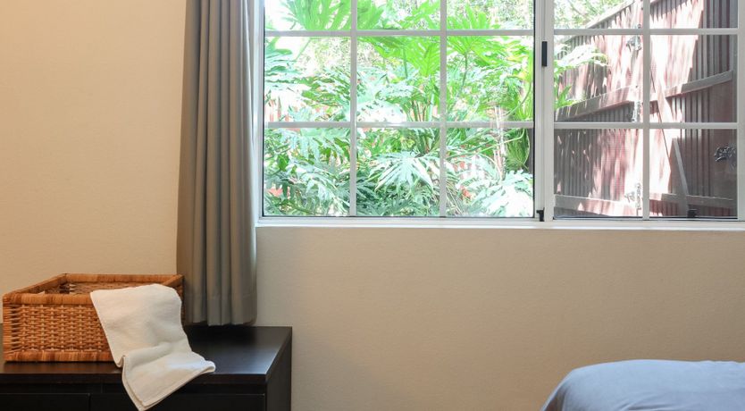 Photo of Newton's Cradle