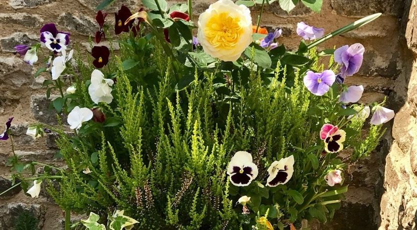 Photo of The Bowler Hat