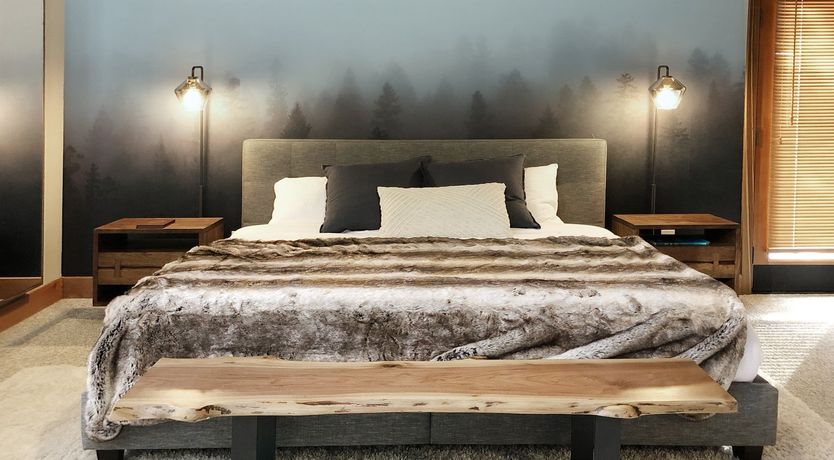 Photo of Shadows & Tall Trees