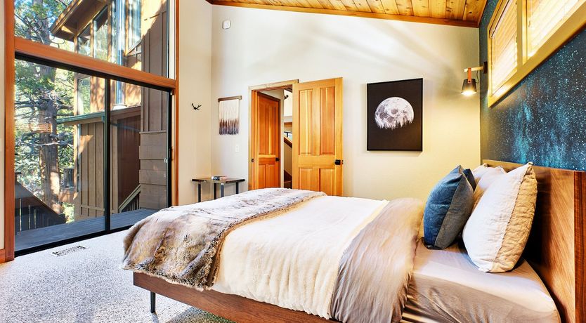 Photo of Shadows & Tall Trees