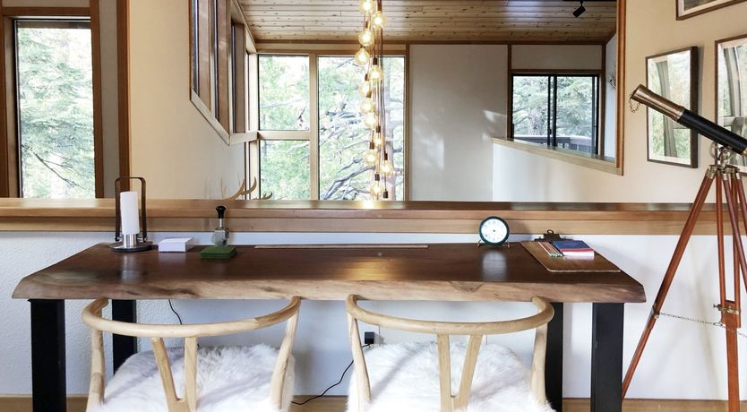 Photo of Shadows & Tall Trees