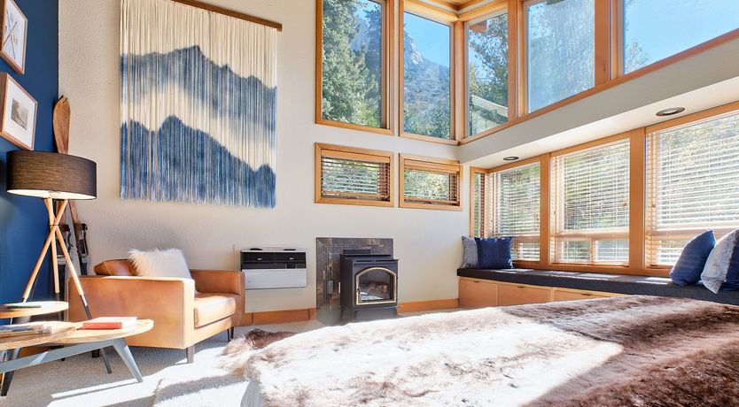 Photo of Shadows & Tall Trees