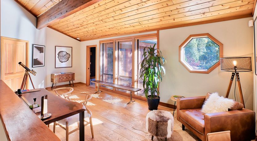 Photo of Shadows & Tall Trees