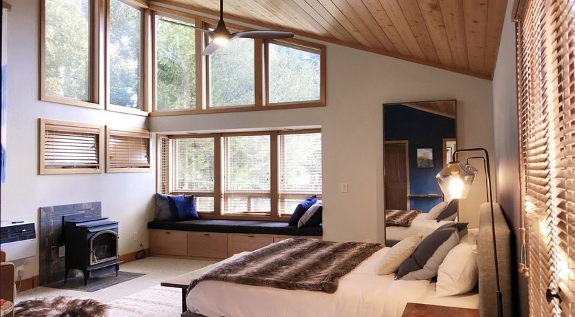 Photo of Shadows & Tall Trees