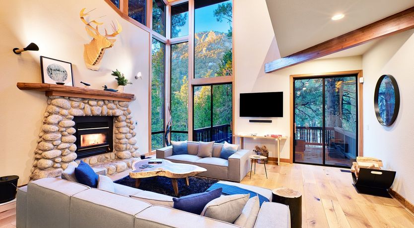 Photo of Shadows & Tall Trees