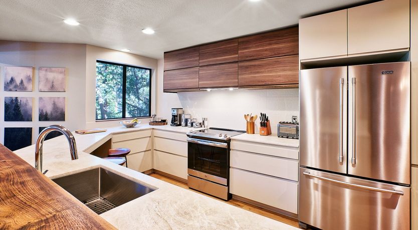 Photo of Shadows & Tall Trees