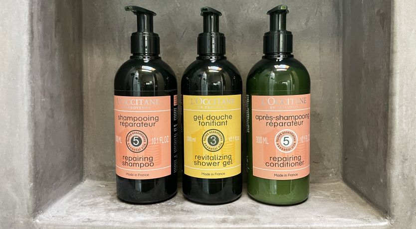 Photo of Shadows & Tall Trees