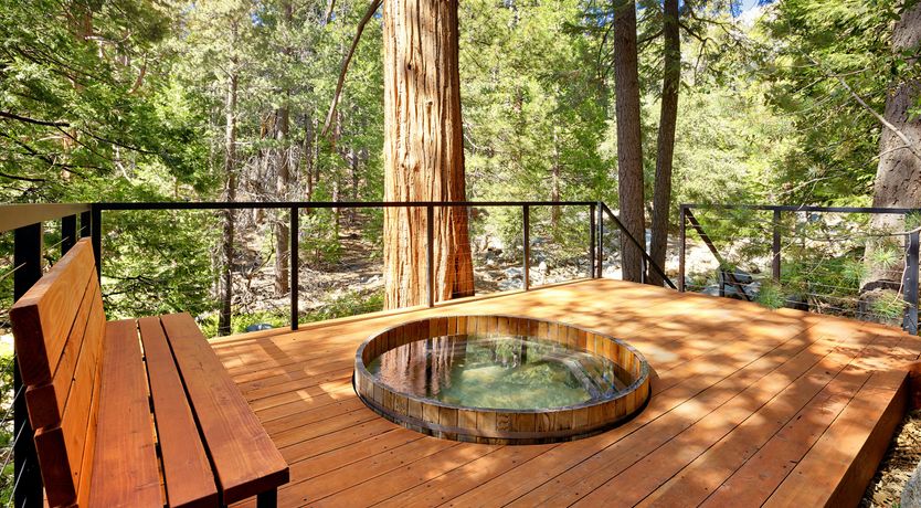 Photo of Shadows & Tall Trees