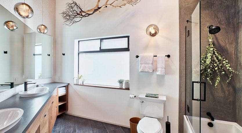 Photo of Shadows & Tall Trees