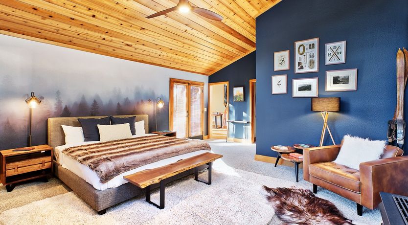 Photo of Shadows & Tall Trees