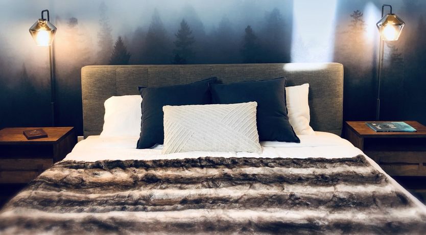 Photo of Shadows & Tall Trees