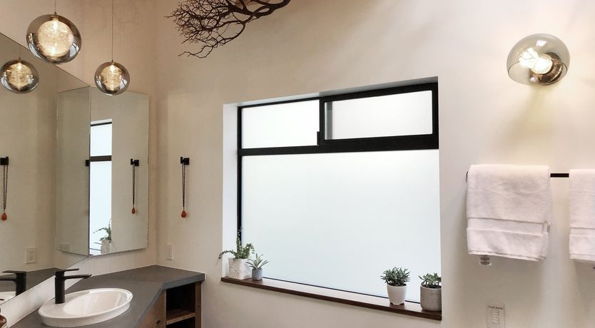 Photo of Shadows & Tall Trees