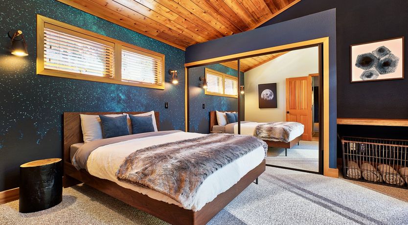 Photo of Shadows & Tall Trees