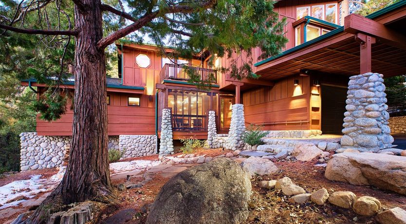 Photo of Shadows & Tall Trees